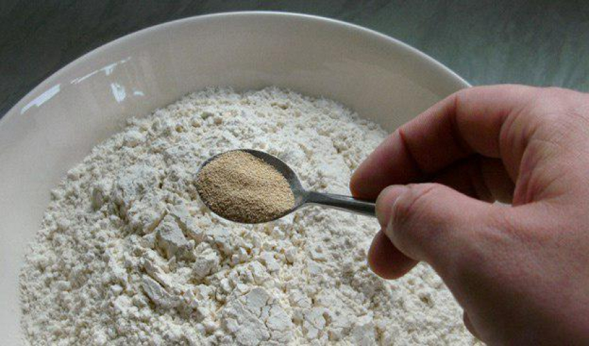 طرز استفاده مخمر نان