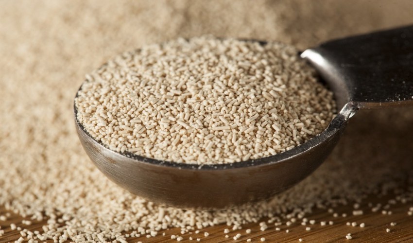 نحوه استفاده از مخمز نان