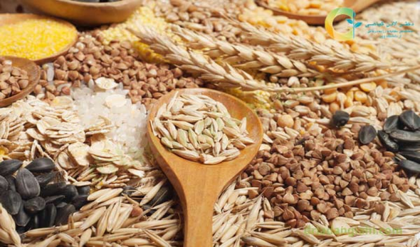 اهمیت غلات و کاربردهای آن